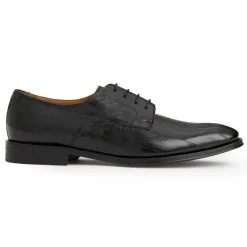 Asti Traditional Dress Oxford^Bruno Magli Hot